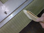 ハイモアを框に散布