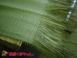 琉球畳表