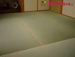 藺草刈り取り