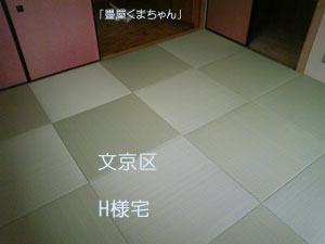 カラー畳