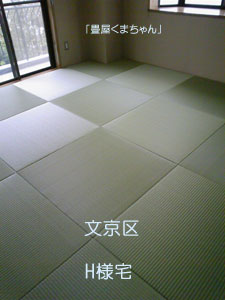 カラー畳