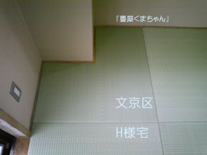 カラー畳
