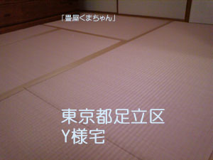 カラー畳